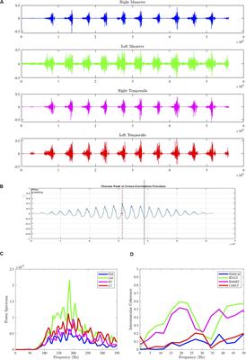 Modulation of Intermuscular Beta Coherence in Different Rhythmic Mandibular Behaviors